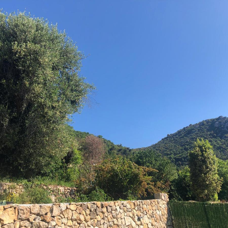 Aux Balcons du Riou avec vue mer 180 degrés Vence Exterior foto