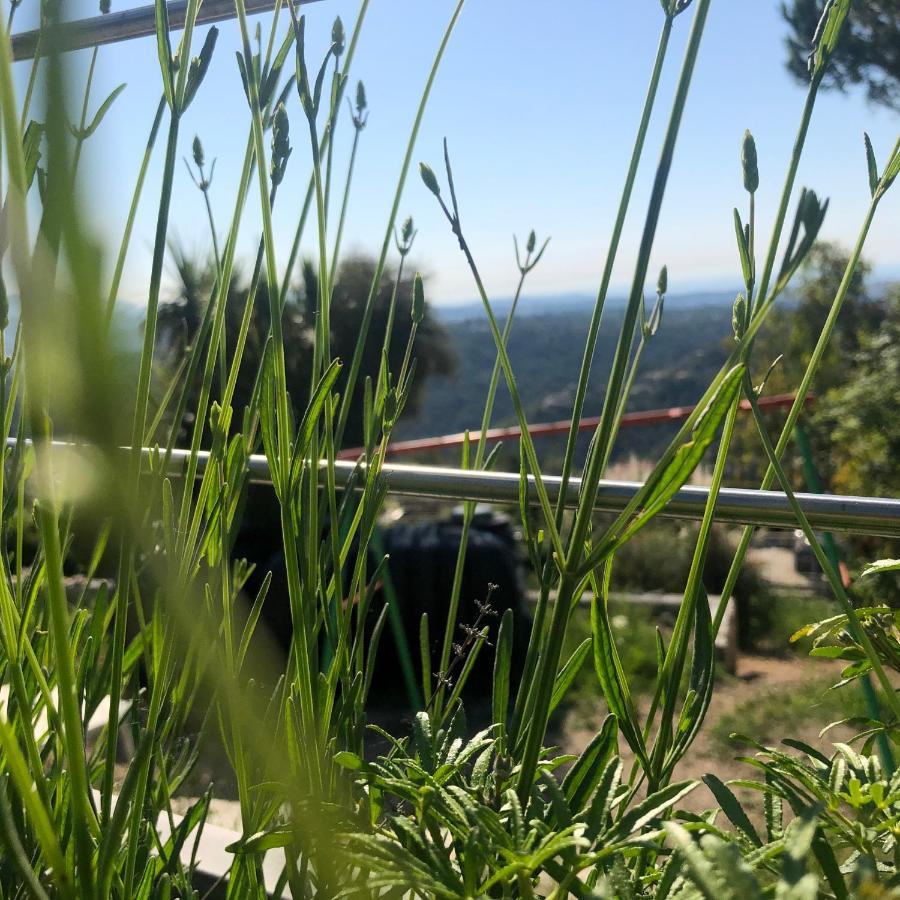 Aux Balcons du Riou avec vue mer 180 degrés Vence Exterior foto